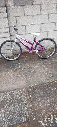 Raleigh bike inch wheels - 24,