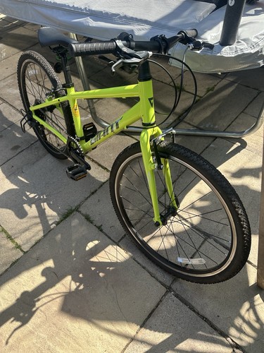 Giant kids mountain bike - kids',