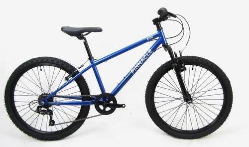 Muddyfox pinnacle ash - 24, kids